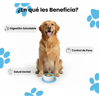 Bowl Antiansiedad para Mascotas