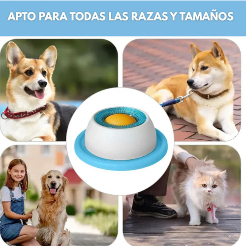 Bowl Antiansiedad para Mascotas