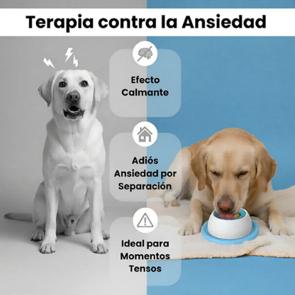 Bowl Antiansiedad para Mascotas